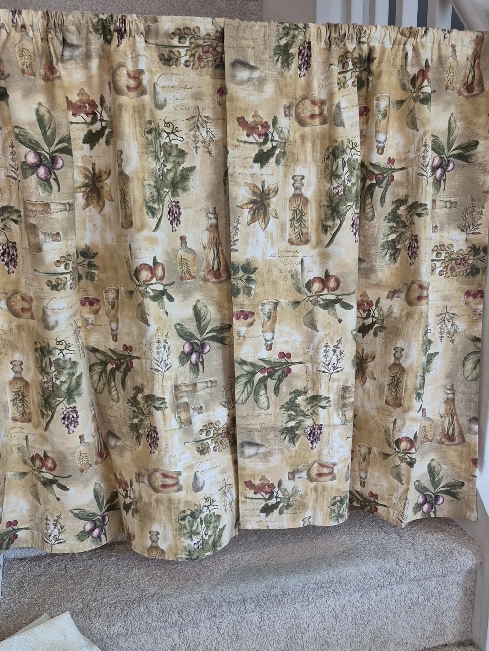 Two Golden Beige Botanical Print Valance Curtains 27x34 (54x34)